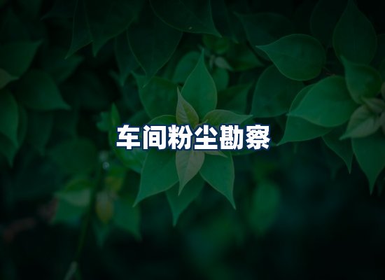 专业团队办公环境